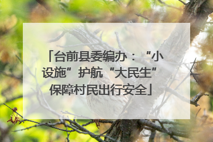 台前县委编办：“小设施”护航“大民生” 保障村民出行安全