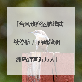 台风致客运航线陆续停航 广西疏散涠洲岛游客近万人