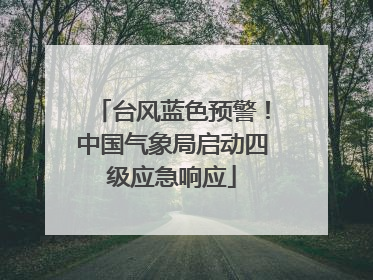 台风蓝色预警！中国气象局启动四级应急响应