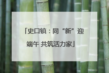 史口镇：同“新”迎端午 共筑活力家