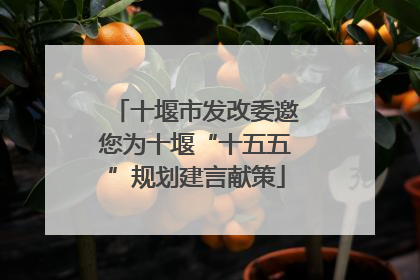 十堰市发改委邀您为十堰“十五五”规划建言献策