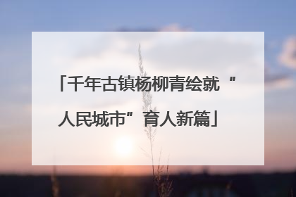 千年古镇杨柳青绘就“人民城市”育人新篇