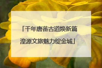 千年唐蕃古道焕新篇 湟源文旅魅力绽金城