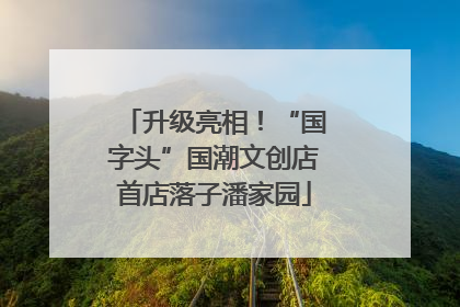 升级亮相！“国字头”国潮文创店首店落子潘家园