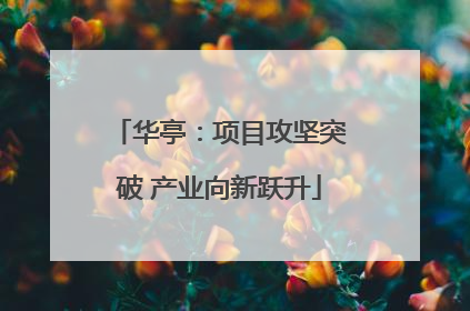 华亭：项目攻坚突破 产业向新跃升