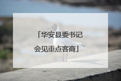 华安县委书记会见重点客商