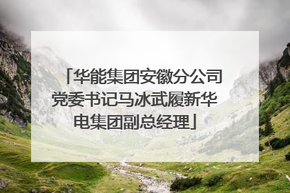 华能集团安徽分公司党委书记马冰武履新华电集团副总经理