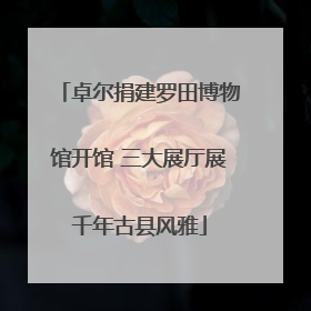 卓尔捐建罗田博物馆开馆 三大展厅展千年古县风雅