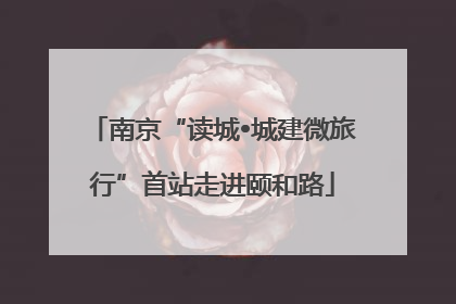 南京“读城•城建微旅行”首站走进颐和路