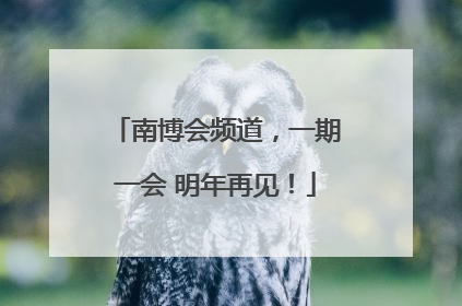 南博会频道，一期一会 明年再见！
