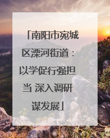 南阳市宛城区溧河街道：以学促行强担当 深入调研谋发展