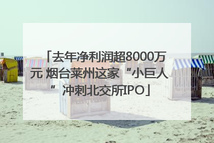 去年净利润超8000万元 烟台莱州这家“小巨人”冲刺北交所IPO