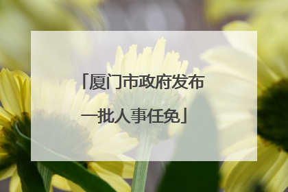 厦门市政府发布一批人事任免
