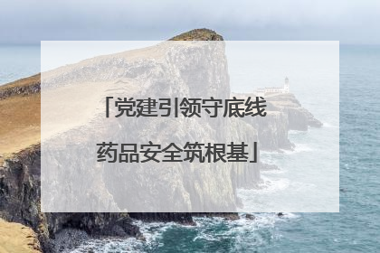 党建引领守底线 药品安全筑根基