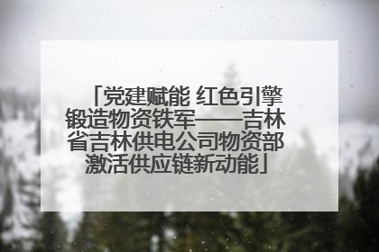 党建赋能 红色引擎锻造物资铁军——吉林省吉林供电公司物资部激活供应链新动能