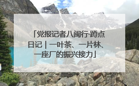 党报记者八闽行·蹲点日记｜一叶茶、一片林、一座厂的振兴接力