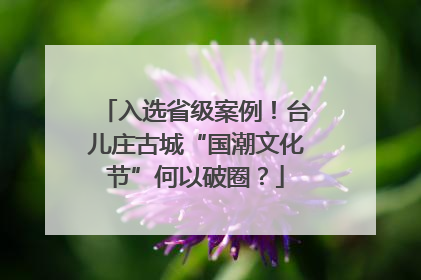 入选省级案例！台儿庄古城“国潮文化节”何以破圈？