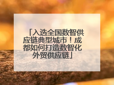 入选全国数智供应链典型城市！成都如何打造数智化外贸供应链