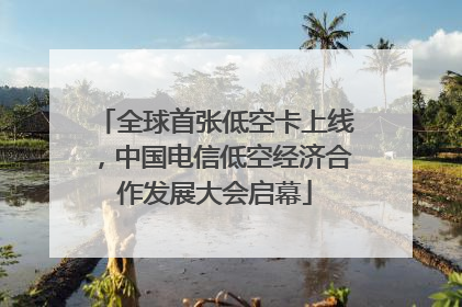 全球首张低空卡上线，中国电信低空经济合作发展大会启幕
