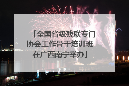 全国省级残联专门协会工作骨干培训班在广西南宁举办