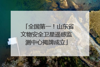 全国第一！山东省文物安全卫星遥感监测中心揭牌成立