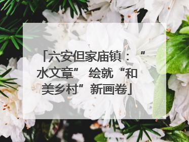 六安但家庙镇：“水文章” 绘就“和美乡村”新画卷