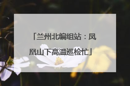 兰州北编组站：凤凰山下高温巡检忙