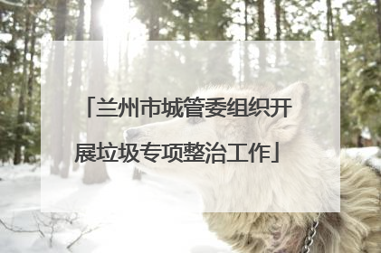 兰州市城管委组织开展垃圾专项整治工作