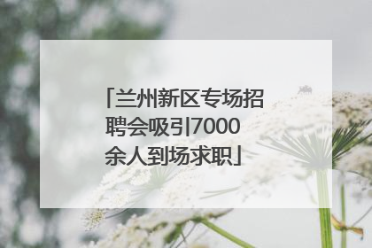 兰州新区专场招聘会吸引7000余人到场求职
