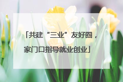 共建“三业”友好圈，家门口指导就业创业