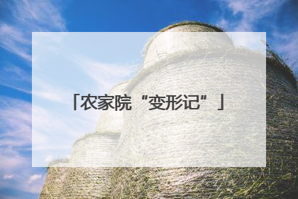 农家院“变形记”