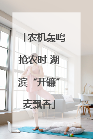 农机轰鸣抢农时 湖滨“开镰”麦飘香