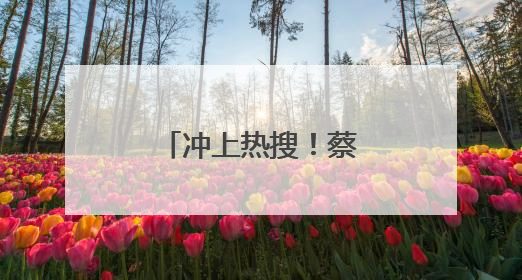 冲上热搜！蔡依林、彭于晏恋情疑似曝光