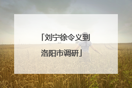 刘宁徐令义到洛阳市调研