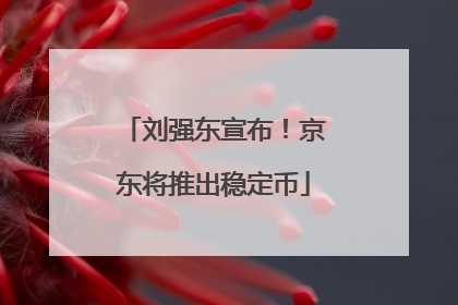 刘强东宣布！京东将推出稳定币