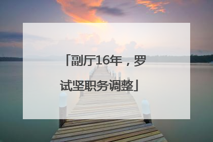 副厅16年，罗试坚职务调整