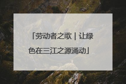 劳动者之歌｜让绿色在三江之源涌动