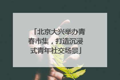 北京大兴举办青春市集，打造沉浸式青年社交场景