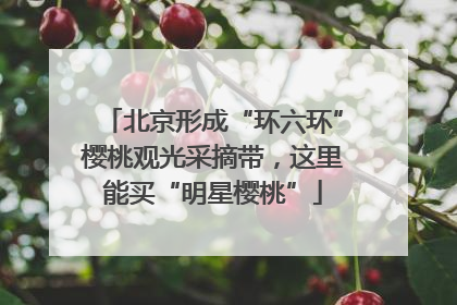 北京形成“环六环”樱桃观光采摘带，这里能买“明星樱桃”