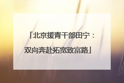 北京援青干部田宁：双向奔赴拓宽致富路