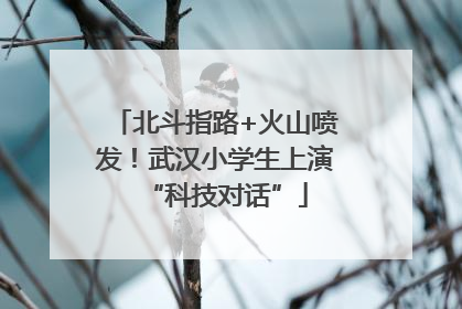 北斗指路+火山喷发！武汉小学生上演“科技对话”