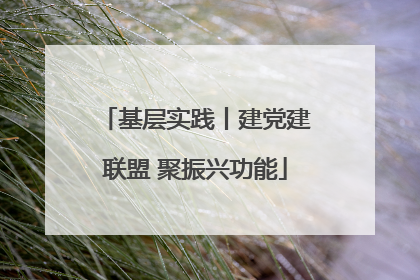 基层实践丨建党建联盟 聚振兴功能