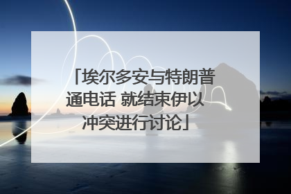 埃尔多安与特朗普通电话 就结束伊以冲突进行讨论