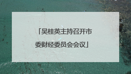 吴桂英主持召开市委财经委员会会议
