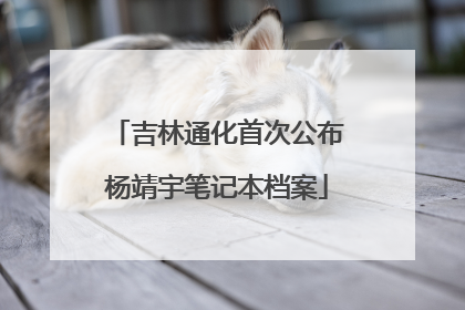 吉林通化首次公布杨靖宇笔记本档案