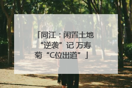 同江：闲置土地“逆袭”记 万寿菊“C位出道”
