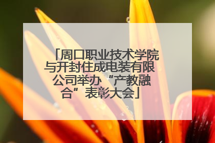周口职业技术学院与开封住成电装有限 公司举办“产教融合”表彰大会