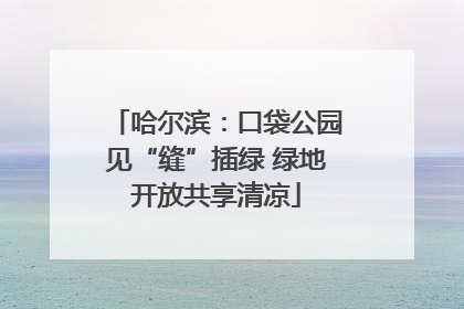 哈尔滨：口袋公园见“缝”插绿 绿地开放共享清凉