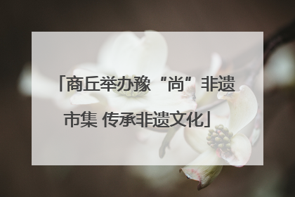 商丘举办豫“尚”非遗市集 传承非遗文化
