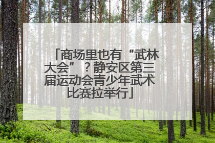 商场里也有“武林大会”？静安区第三届运动会青少年武术比赛拉举行